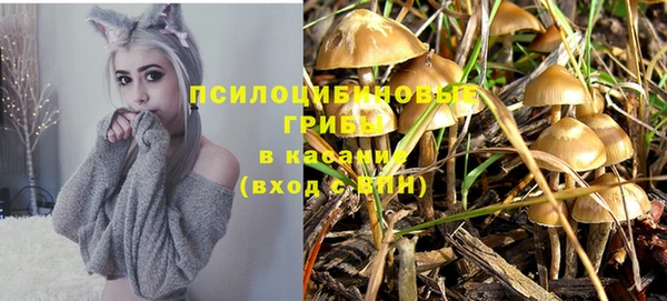 ешки Алексин