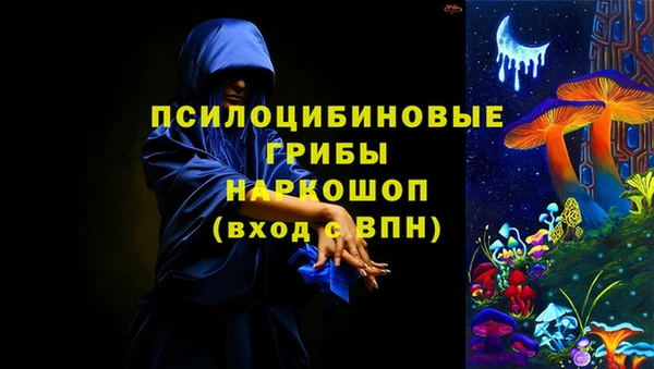 ешки Алексин